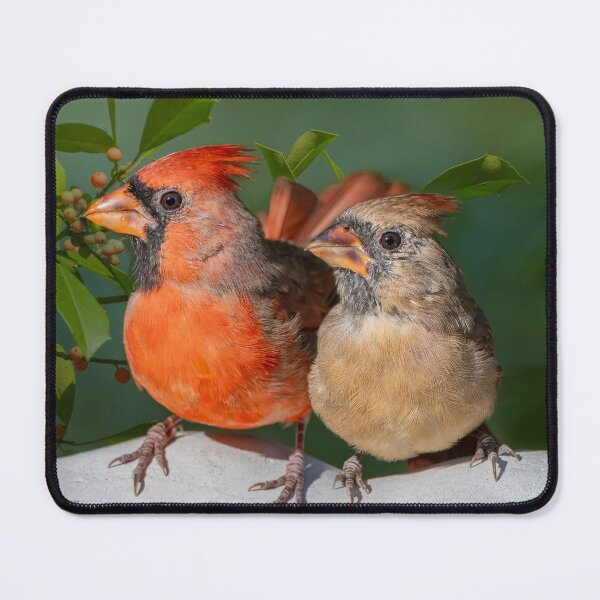 Item preview, Mr. and Mrs. Cardinal designed and sold by Bonnie T.  Barry.