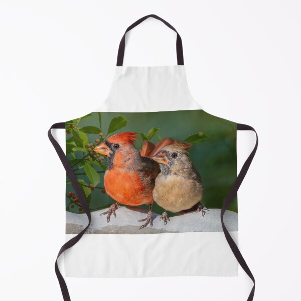 Item preview, Mr. and Mrs. Cardinal designed and sold by Bonnie T. Barry.