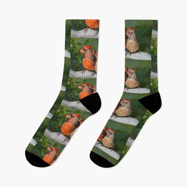 Item preview, Mr. and Mrs. Cardinal designed and sold by Bonnie T. Barry.