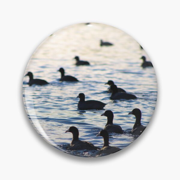 Item preview, Coots on the water designed and sold by AMNorthernLight.