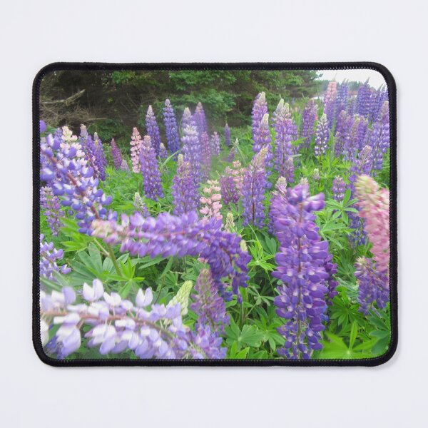 Item preview, Lupins designed and sold by Shulie1.