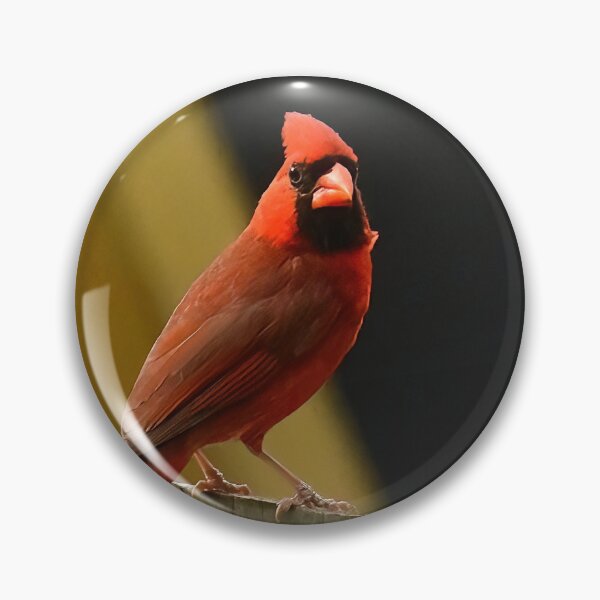 Item preview, Cardinal designed and sold by Spiveys-Corner.