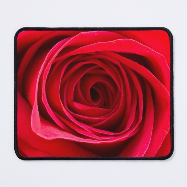 Item preview, Red Rose Photo, Closeup, Nature Photography, Garden Lover, Flower Art, Bouquet designed and sold by Christie Olstad.