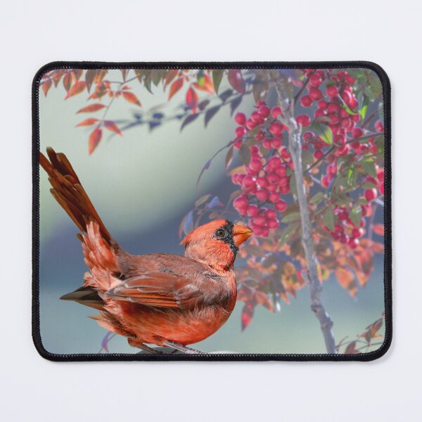 Item preview, Northern Cardinal with American Holly designed and sold by Bonnie T.  Barry.