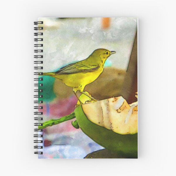 Artikelvorschau, Gelber Kanarienvogel, der eine Kokosnuss isst entworfen und verkauft von Mathilde GT.