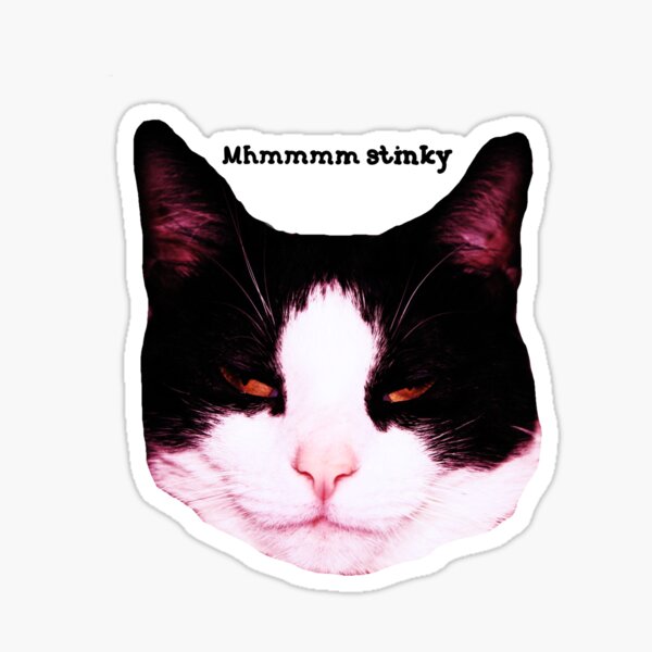 Clean Dirty Dishwasher Magnet Funny Cat 