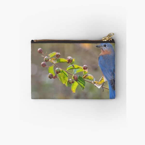 Artikelvorschau, Östlicher Blauvogel auf Kreppmyrtenzweig entworfen und verkauft von Bonnie T.  Barry.