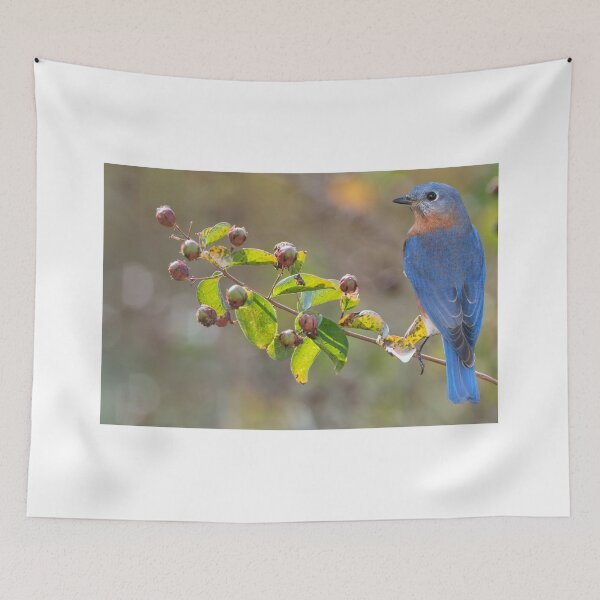 Item preview, Eastern Bluebird on Crepe Myrtle Limb designed and sold by Bonnie T.  Barry.