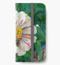 Zinnia Guest iPhone Wallet/Case/Skin