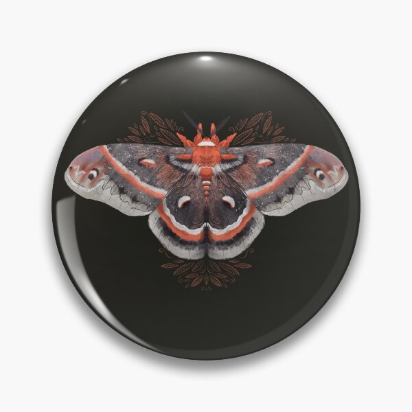 Item preview, Orange Cecropia Moth designed and sold by KatrinaJeanC.