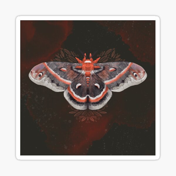 Cecropia Moth Sticker » Pip & Cricket