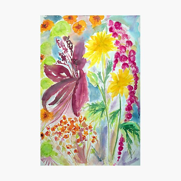 Emil Noldes garden Photographic Print