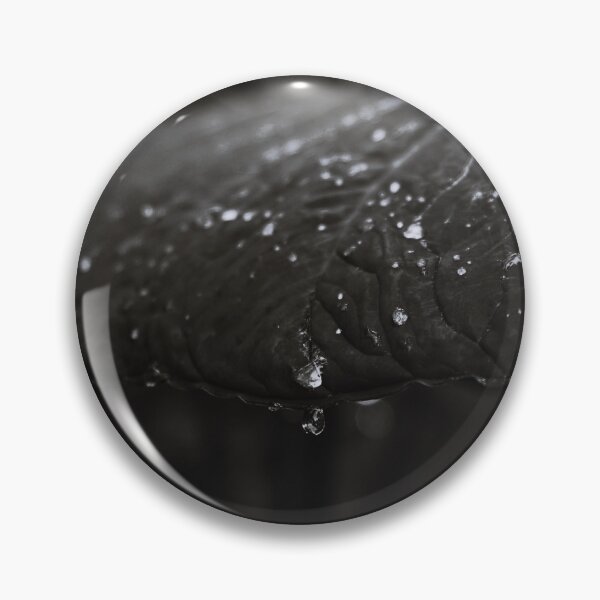 Item preview, Foliage - Black and White designed and sold by anafrancisconi.