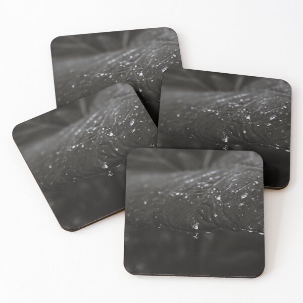 Item preview, Foliage - Black and White designed and sold by anafrancisconi.