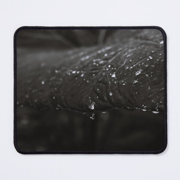 Item preview, Foliage - Black and White designed and sold by anafrancisconi.