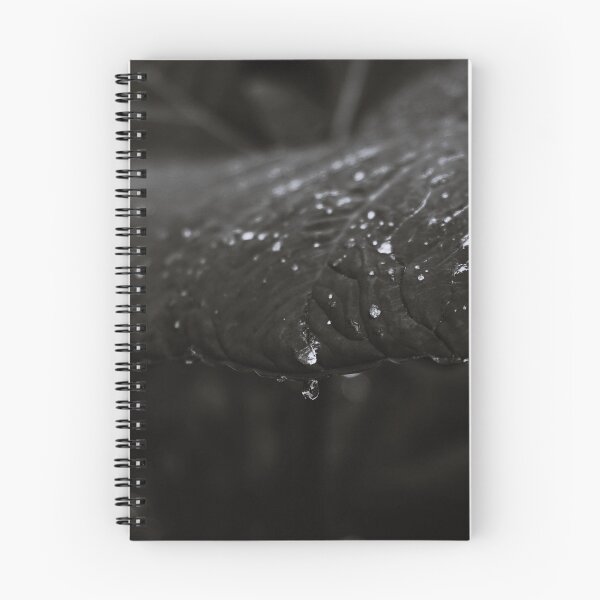Item preview, Foliage - Black and White designed and sold by anafrancisconi.