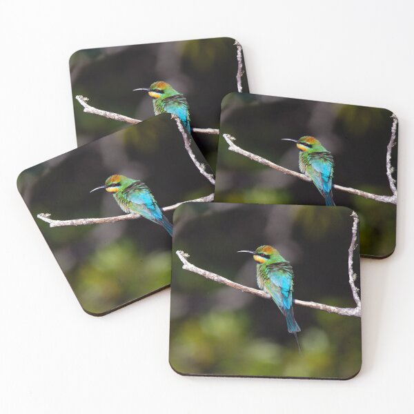 Item preview, Rainbow Bee-eater designed and sold by Matt Vickery.