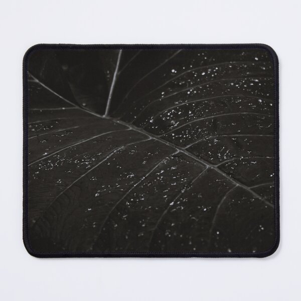Item preview, Foliage - Black and White designed and sold by anafrancisconi.