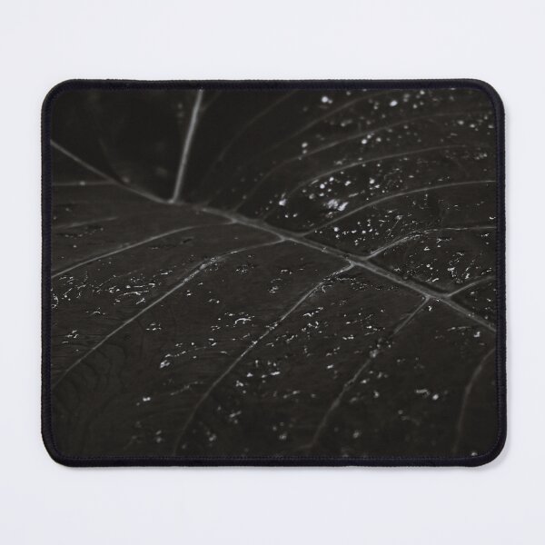 Item preview, Foliage - Black and White designed and sold by anafrancisconi.