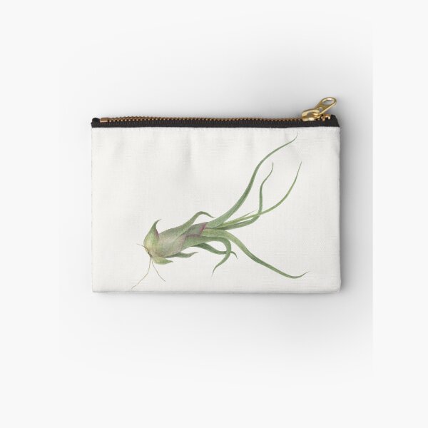 Item preview, Copy of Airlpant Tillandsia Caput-Medusa. Watercolor painting. designed and sold by Antonina Sotnikova.