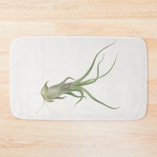 Item preview, Copy of Airlpant Tillandsia Caput-Medusa. Watercolor painting. designed and sold by Antonina Sotnikova.