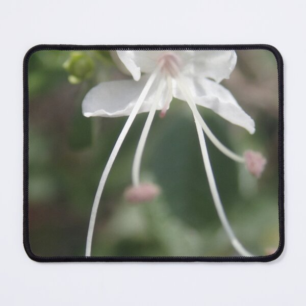 Item preview, White Flower designed and sold by Mathilde GT.