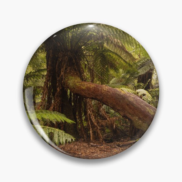 Item preview, Tree Ferns Mt Field walk designed and sold by Images by Chris de Blank.