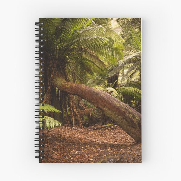 Item preview, Tree Ferns Mt Field walk designed and sold by Images by Chris de Blank.