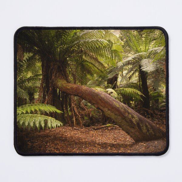 Item preview, Tree Ferns Mt Field walk designed and sold by Images by Chris de Blank.