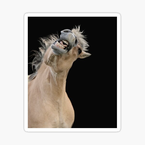 Item preview, Norwegian Fjord Horse 1 designed and sold by Shauna Kenworthy.