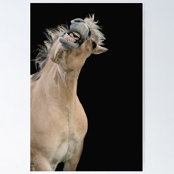 Item preview, Norwegian Fjord Horse 1 designed and sold by Shauna Kenworthy.