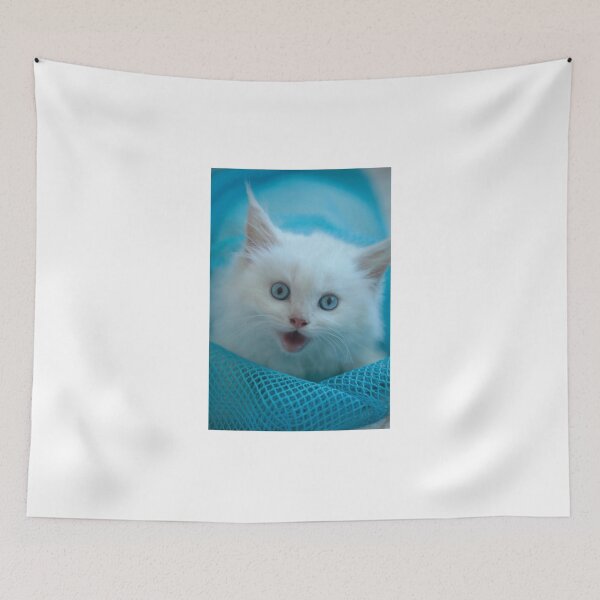 Item preview, Portrait of cute white fluffy kitten designed and sold by olena2552.