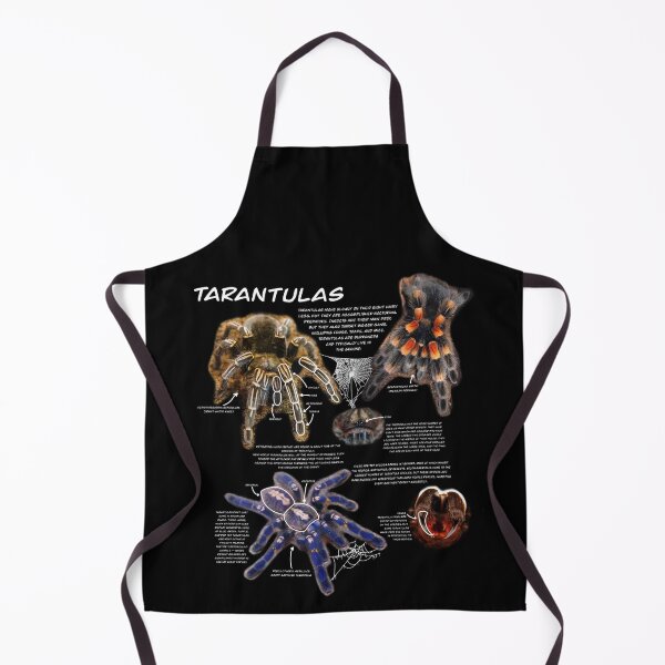 Item preview, Tarantula fact sheet designed and sold by Ren Andrews.