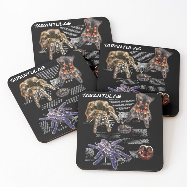 Item preview, Tarantula fact sheet designed and sold by Ren Andrews.