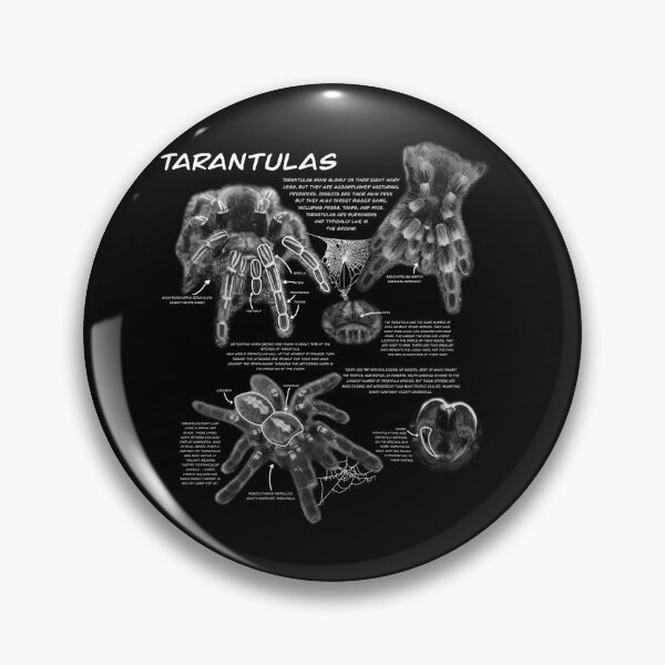 Item preview, B&W Tarantula fact sheet designed and sold by Ren Andrews.