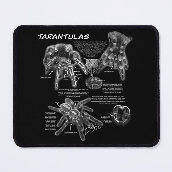Item preview, B&W Tarantula fact sheet designed and sold by Ren Andrews.