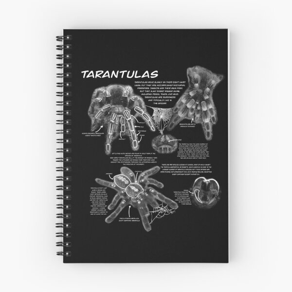 Item preview, B&W Tarantula fact sheet designed and sold by Ren Andrews.