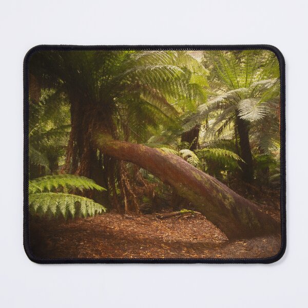 Item preview, Tree Ferns Mt Field walk designed and sold by Images by Chris de Blank.