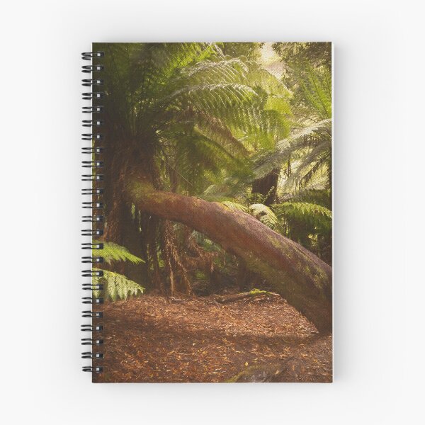Item preview, Tree Ferns Mt Field walk designed and sold by Images by Chris de Blank.