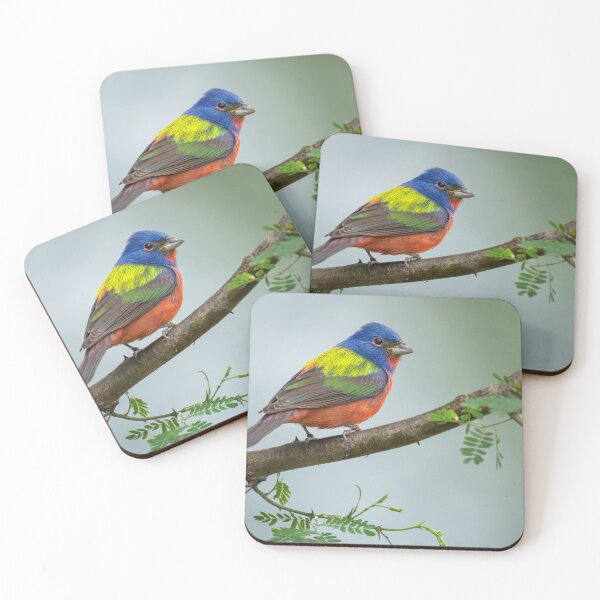 Item preview, Painted Bunting South Texas designed and sold by PhotoArt by Joan Carroll.
