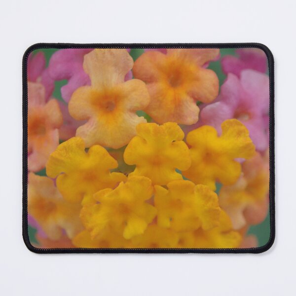 Item preview, Pink and Yellow Flowers designed and sold by Mathilde GT.
