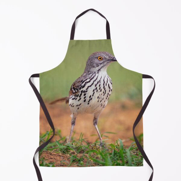 Item preview, Long Billed Thrasher South Texas designed and sold by PhotoArt by Joan Carroll.