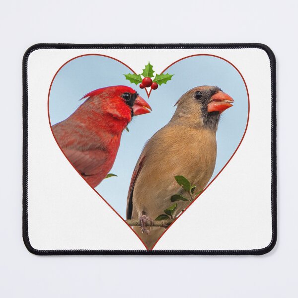 Item preview, Cardinal Love designed and sold by Bonnie T. Barry.