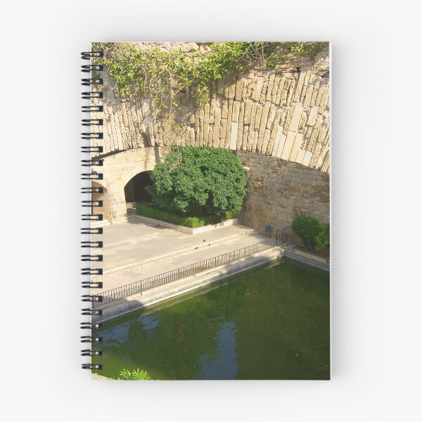 Item preview, Palma Cathedral Courtyard designed and sold by tomg.