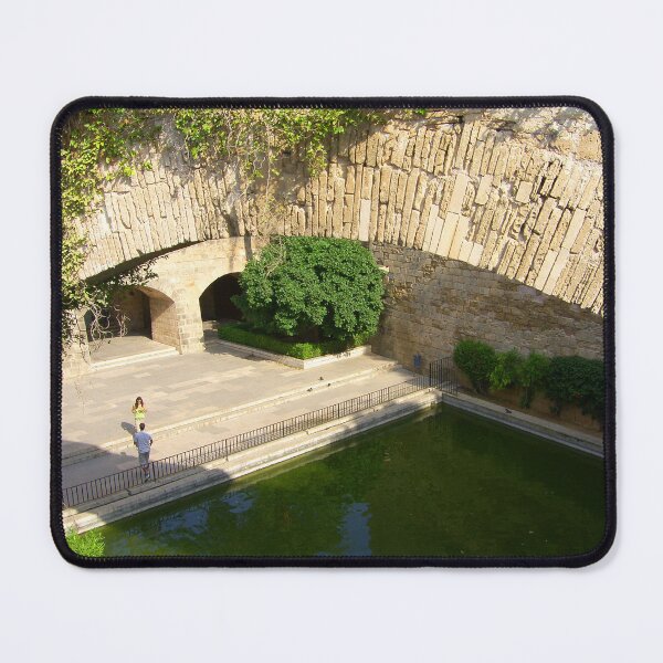 Item preview, Palma Cathedral Courtyard designed and sold by tomg.