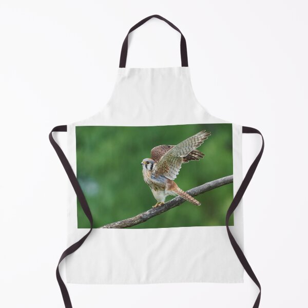 Item preview, American Kestrel female wings spread designed and sold by John Reaume.