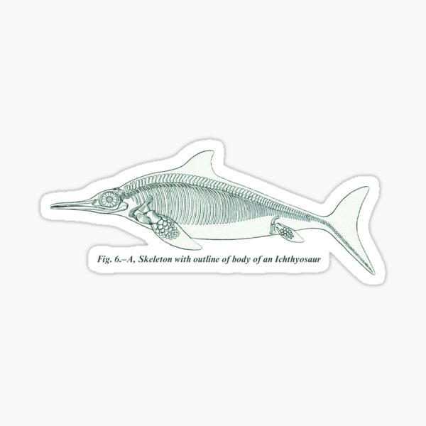 Item preview, Ichthyosaur Vintage Paleontology Dinosaur PaleoArt designed and sold by wujulike.