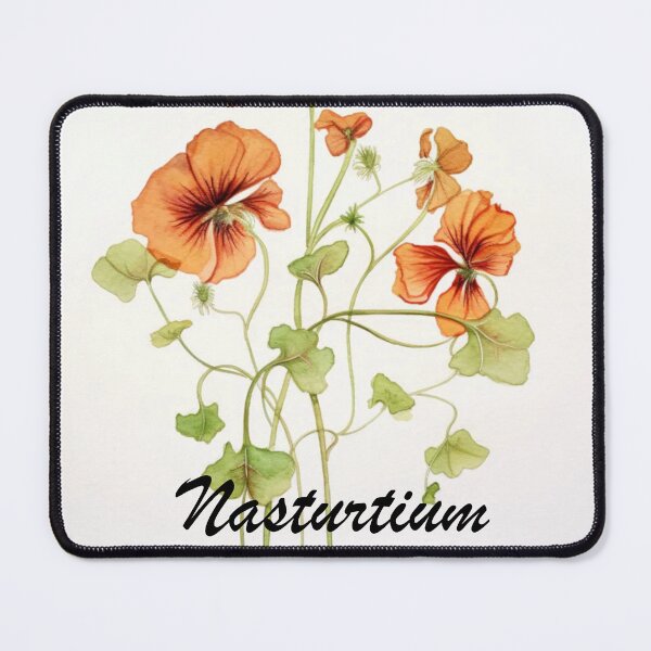 Item preview, Nasturtium Flowers Inspired By My Mothers Flower Paintings designed and sold by CDC40.