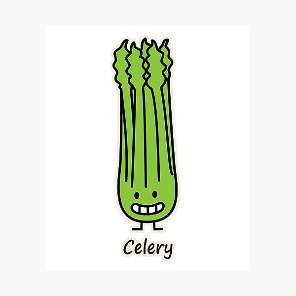 Happy Celery Stalk Bunch green fiber vegetable Photographic Print