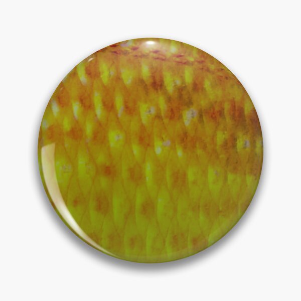 Item preview, Golden Porgy Skin designed and sold by CJRPics.